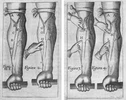 Historical image related to Harvey's work